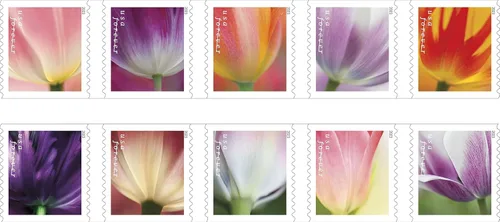 Vista 2 de Sello postal de primera clase Tulip Blossom Forever 2023 (tira de 10 unidades) Y