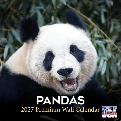 Vista 273 de Calendario de grises africanos 2025 2026 – Planificador mensual de pared de aves africanas – 12 x 18 pulgadas (abierto), calendario de pared