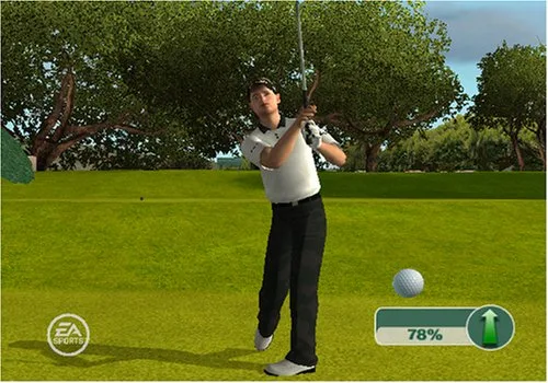 Vista 2 de Tiger Woods PGA Tour 09 All-Play - Nintendo Wii