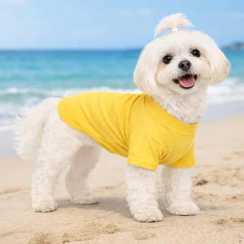Vista 132 de Lovelonglong 2019 - Ropa para mascotas, Disfraces para Perro, Ropa Camisetas en blanco para Perros Grande Medianos Pequeños 100% Algodón 18