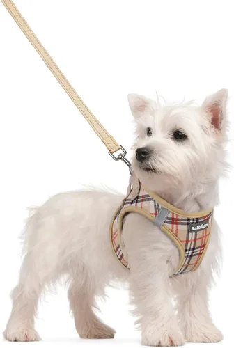 Vista 187 de rabbitgoo Arnés para perro de tamaño pequeño y juego de correa, chaleco Cachorros de manzana
