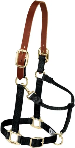 Vista 26 de Weaver Equine Breakaway Horse Halter, Supple Leather Crown, Adjustable Brass Throat Snap Halters for Horses, Equine Tack