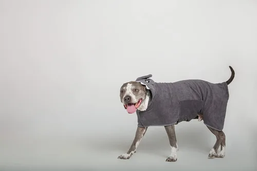 Vista 4 de BoxDog Albornoz para perro y toalla de microfibra para perro con capucha de tiburón