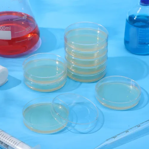 Vista 2 de Generic Placas de agar prevertidas, placas de agar nutrientes, placas de Petri con suministros de experimentos científicos para uso en el aula