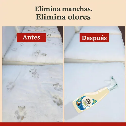 Vista 7 de Spray removedor de manchas y olores para mascotas, limpiador enzimático