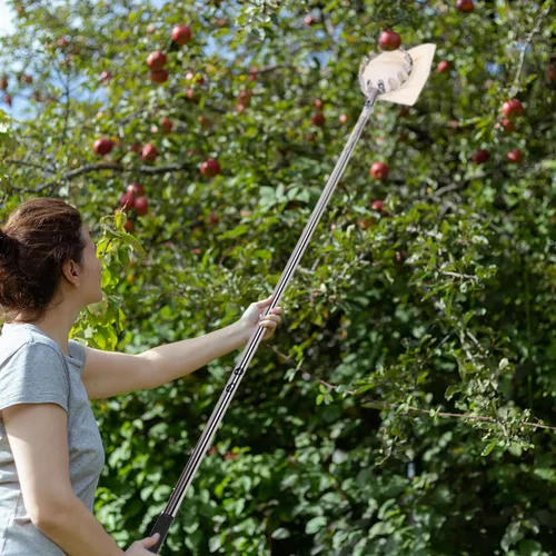 Vista 6 de Recogedor de manzanas de acero inoxidable de 10 pies con mango telescópico, recolector de frutas, herramienta para recoger frutas con poste