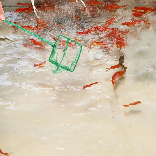 Vista 5 de 3 redes de pesca de acuario de malla fina, redes de captura rápida, redes de pesca de nailon con mango largo de plástico para pecera, verde, 3