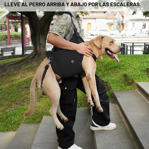 Vista 4 de Coodeo Arnés de elevación para perros, soporte y rehabilitación con correa ajustable acolchada y transpirable para perros ancianos, discapacitados