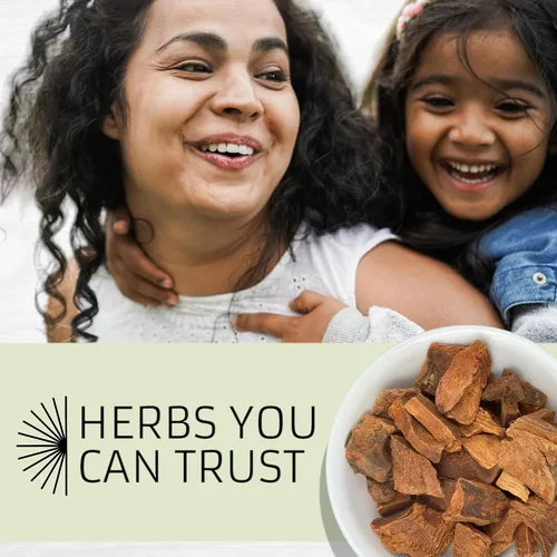 Vista 6 de Evergreen Herbs Hierba de corteza de Cocolmeca – 1 libra Greenbrier, sarsaparilla, Smilax – Bolsa resellable para garantizar la frescura