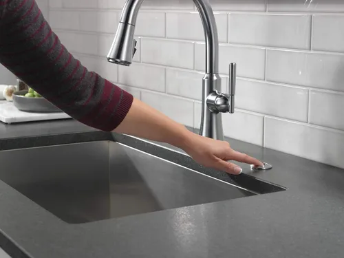 Vista 5 de Interruptor de aire para eliminación de basura Delta 72050 con módulo de alimentación de doble salida - Acero inoxidable ártico