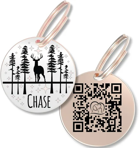 Vista 12 de PawFurEver Placa para perro con código QR – Etiquetas de identificación personalizadas para perros, etiqueta de perro grabada y etiqueta para Oro