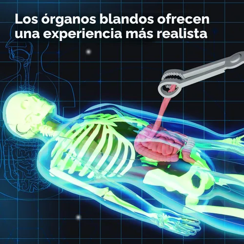 Vista 3 de GobiDex Kits de Modelo de Esqueleto Humano, 40 Piezas de Figura Anatómica, Kit de Ciencia Interactivo de Huesos que Brillan en la Oscuridad