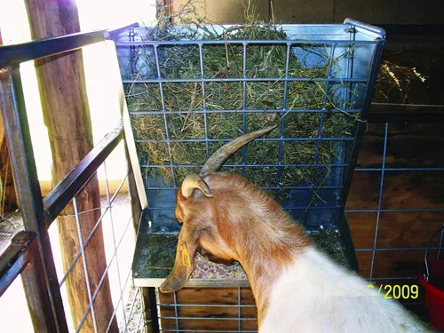 Vista 4 de Little Giant® Alimentador montable para ovejas y cabras - Comedero 2 en 1 para cabras y ovejas y estante de heno - Combinación de heno y grano