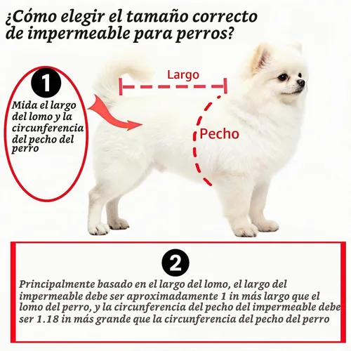 Vista 4 de Poncho de lluvia transparente para perros pequeños y medianos, impermeable pesado con agujero oculto para la correa y broches ajustables, capa