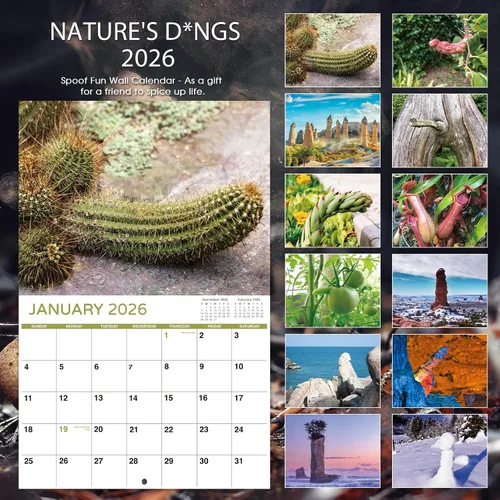 Vista 5 de Regalos de broma - Divertido calendario 2026, 12 meses desde enero de 2026 hasta diciembre de 2026, 28 x 43.18 cm (11 x 17 pulgadas) (abierto)