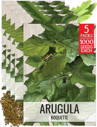 Vista 10 de Seed Needs, Semillas de acedera de hoja grande, 500 semillas tradicionales para plantar Rumex acetosa, hierba medicinal o culinaria sin OMG y sin