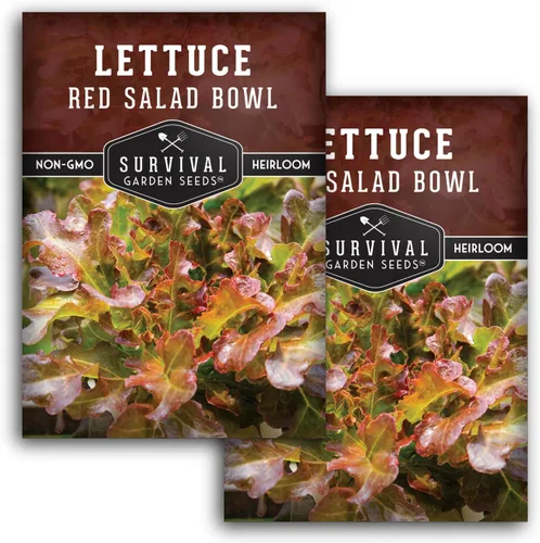 Vista 10 de Semillas de lechuga roja para plantar, 1 paquete con instrucciones para plantar y cultivar lechuga de hoja suelta en tu huerto casero, variedad