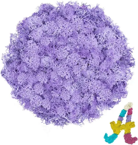 Vista 17 de Musgo de reno azul de 3.5 onzas, musgo preservado para plantas, decoración de musgo, musgo verde para manualidades, musgo para plantas en maceta