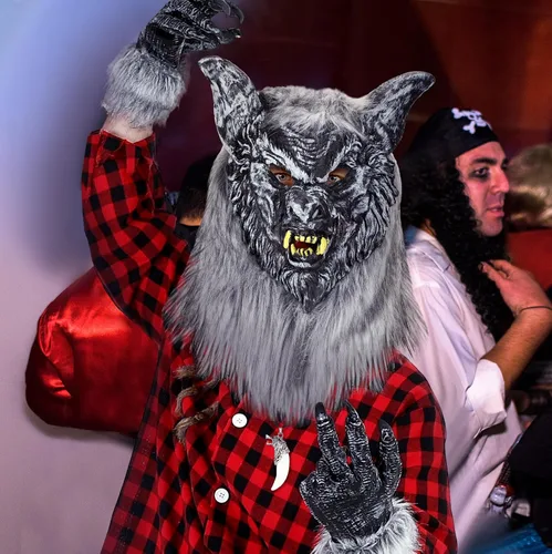 Vista 6 de Juego de 6 piezas de disfraz de hombre lobo de Halloween, máscara de cabeza, cola de lobo de piel sintética gris, collar, guantes para adultos
