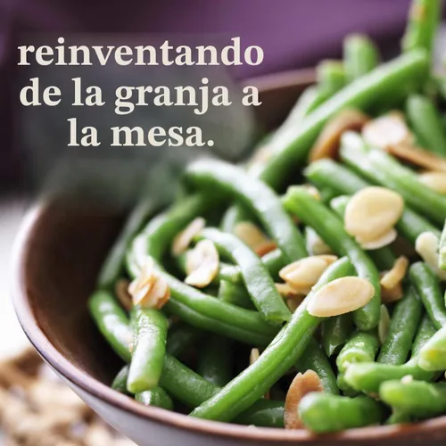 Vista 5 de Mountain Valley Seed Co Broad Windsor Fava - Semillas de frijol