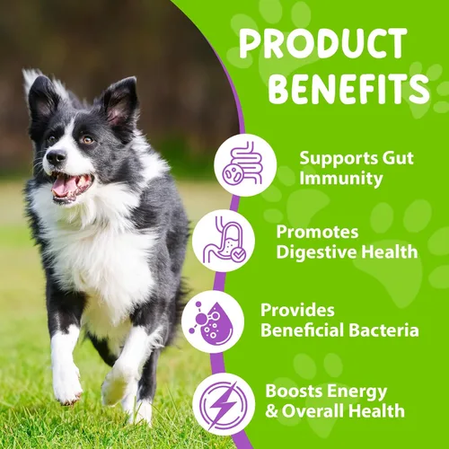 Vista 4 de Probióticos para perros, probióticos líquidos para perros, enzimas prebióticas y digestivas, suplemento de probióticos para perros que ayudan a