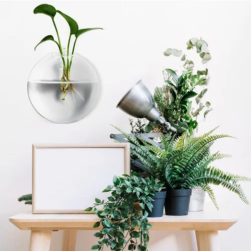 Vista 4 de 4pcs Wall Hanging Glass Flower Vessels Flat Oblate Bubble Design Hanging Holders for Indoor Plants Terrarium Stand Home Décor