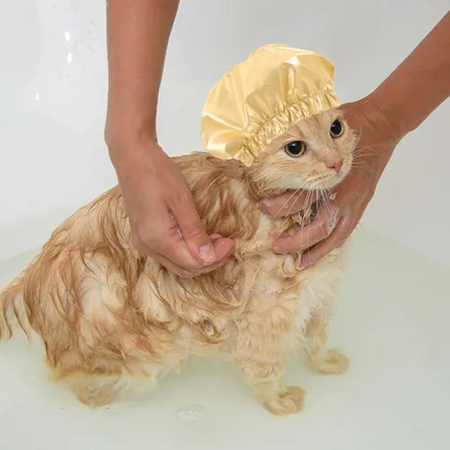 Vista 3 de LOGOFUN Gorro de ducha para mascotas, sombrero envolvente para la cabeza de gato, cubierta reutilizable para orejas de baño con correa ajustable