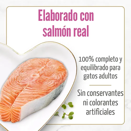 Vista 4 de Purina Fancy Feast Petites - Alimento húmedo de salmón chamuscado