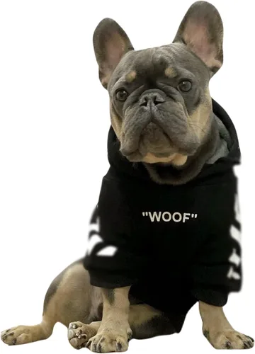 Vista 13 de ChoChoCho Sudadera con capucha y suéter para perros – Elegante ropa urbana de algodón para gatos y cachorros en gris – S, M, L