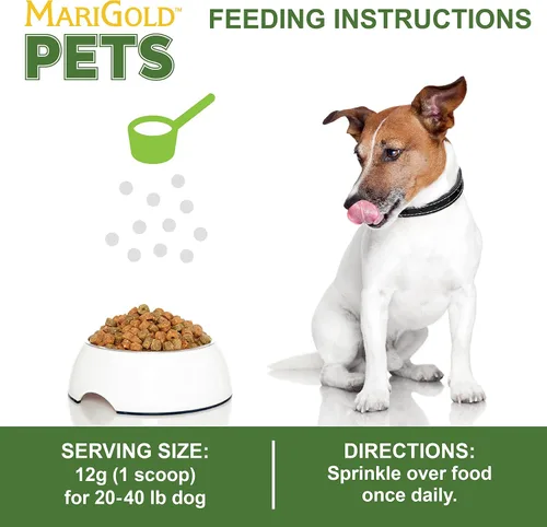 Vista 6 de MariGold JIG para perros, articulaciones, inmunidad, apoyo intestinal y colágeno para perros, sin OMG, cacahuetes orgánicos, cáñamo orgánico, libre