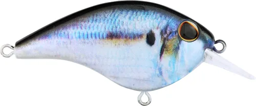Vista 17 de Berkley Frittside Fishing Hard Bait Bronceado en aerosol