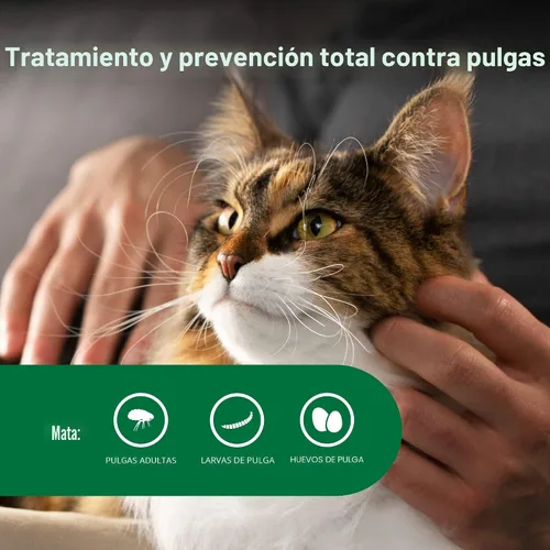 Vista 3 de Advantage II Tratamiento y prevención de pulgas recomendado por veterinarios para gatos grandes Gatos de más de 9 libras Suministro de 1 mes