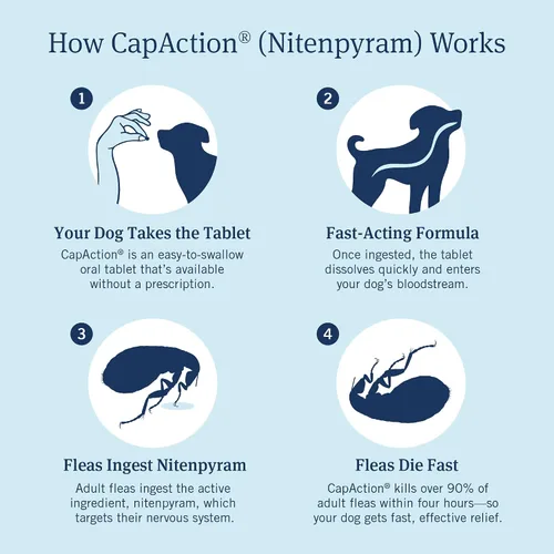 Vista 2 de PetArmor CAPACTION (nitenpiram) Tratamiento oral contra pulgas para perros, tabletas de acción rápida comienzan a matar en 30 minutos, tratamiento