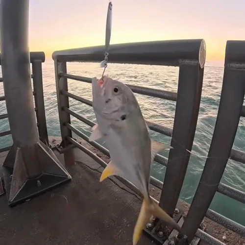 Vista 6 de Señuelos de pesca de agua salada, plantillas de pesca, cucharas de pesca para lubina, pompano, caballa española, pescado azul