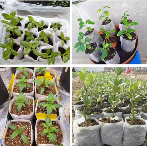 Vista 6 de 200 bolsas de cultivo para vivero, bolsa de cultivo pequeña de 5.8 x 5 pulgadas para plantas, macetas de tela, papa, flor, tomate para principiantes