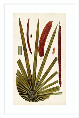 Vista 10 de Amanti Art Vision Studio - Lienzo decorativo para pared, 24 x 17 pulgadas, variedades de hojas VI por Vision Studio, arte de pared de naturaleza