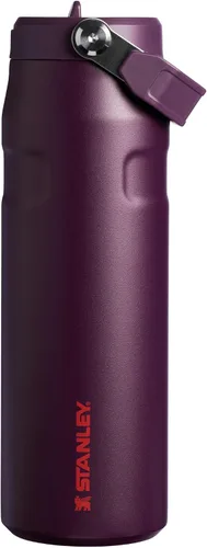 Vista 78 de STANLEY - Botella de agua IceFlow Flip Straw 2.0 con pajilla abatible, abertura más grande, acero inoxidable aislado, sin bisfenol A, 16 onzas