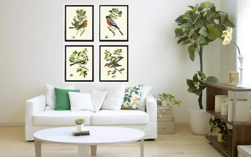 Vista 3 de LoveThePrint Beautfiul - Juego de 4 impresiones artísticas de pared de pájaros, bosque antiguo, al aire libre, naturaleza, ciencias naturales