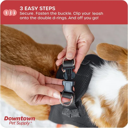 Vista 64 de Downtown Pet Supply Arnés para perro Step-in – Sin tirones, malla acolchada ajustable con ribete reflectante, correa de hebilla segura – Arnés