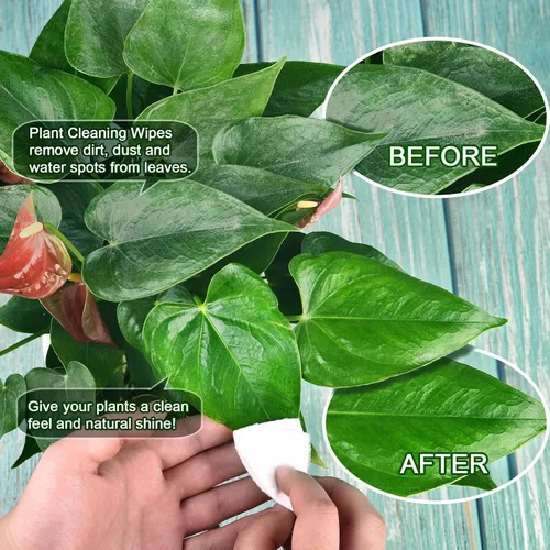 Vista 3 de Leopong Toallitas de limpieza de plantas, limpiador de hojas para plantas de interior, 80 toallitas