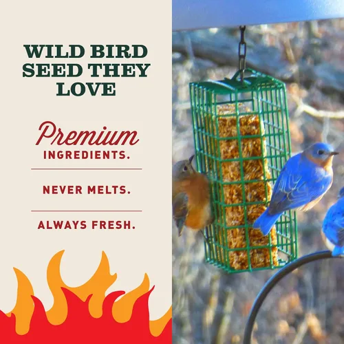 Vista 3 de Mr. Bird Flaming Hot Feast - Paquete de 6 pasteles pequeños de semillas de aves silvestres, 4 onzas Premium Blend of Mealworms, Peanuts & Hot