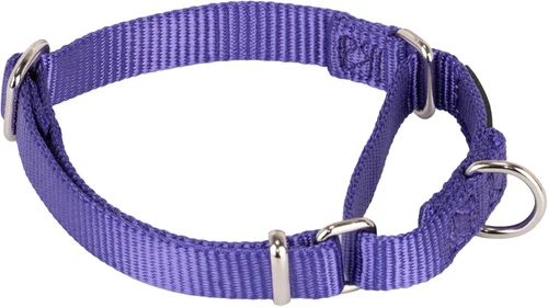 Vista 11 de Hyhug Collar Martingale para perros pequeños, color verde, resistente a prueba de escape, nailon duradero, sin hebilla, ideal para entrenamiento
