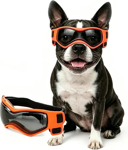Vista 11 de Gafas para perros de razas pequeñas, lentes de sol para perros pequeños con protección UV, gafas para mascotas al aire libre, para equitación Negro