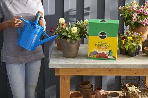 Vista 5 de Miracle-Gro Alimento soluble en agua para plantas multiusos - Fertilizante para todas las plantas de interior o exterior, incluyendo rosas, flores