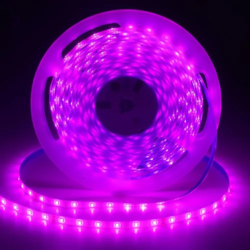 Vista 20 de Resistente al agua IP65, tira de luz LED flexible impermeable de 12 V, tiras de luz LED cortables de 16.4 pies, 300 unidades de cadena de Blanco