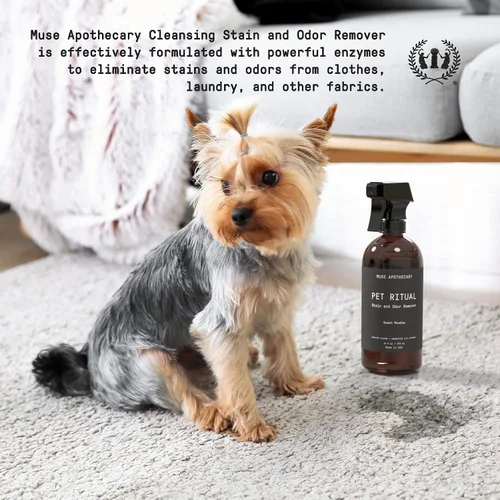 Vista 2 de Muse Apothecary Limpiador completo de alfombras enzimáticas para eliminar manchas y olores de mascotas, removedor de manchas de perros