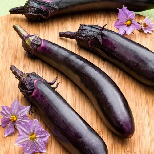 Vista 3 de Bonnie Plants Ichiban - Berenjena japonesa tipo – Paquete de 4 plantas vivas, ideales para contenedores, 10 pulgadas de largo, perfectas para asar