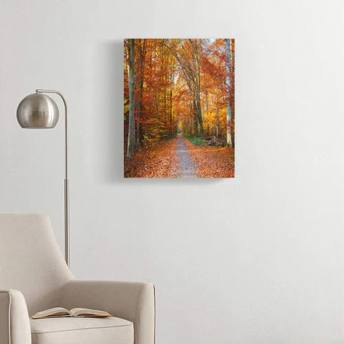 Vista 2 de Kits de pintura de diamantes 5D para bricolaje, camino a través del bosque de otoño, dibujo real, arte interesante, pintura de taladro completo