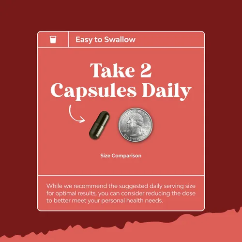 Vista 7 de Suplemento de cápsulas líquidas CoQ10 - Coenzima Q10 de alta absorción con 200 mg por porción - Salud cardíaca y potente apoyo energético