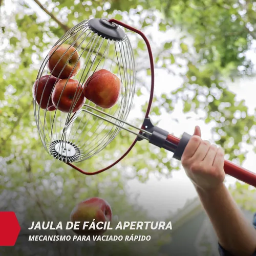 Vista 6 de GARDEN WEASEL - Rodillo recolector de frutos secos grande para nueces, pelotas de tenis, manzanas Steel cage collector tool with ergonomic handle.